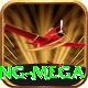 megapari.pk Gaming Mega